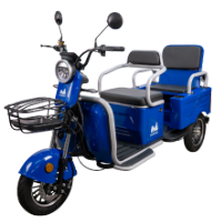 Triciclo Eléctrico para Pasajeros con Banco Doble Bendis TRCC1200 EvoTools®