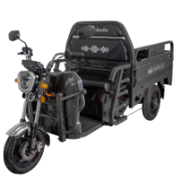 Triciclo Eléctrico de Carga Balaur TRCC1000